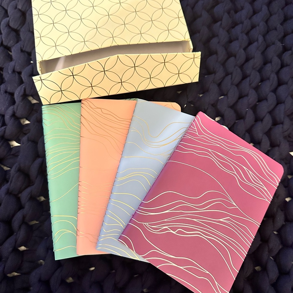 Erin Condren set of 4 notebooks and storage box